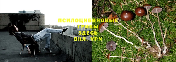бошки Алексеевка