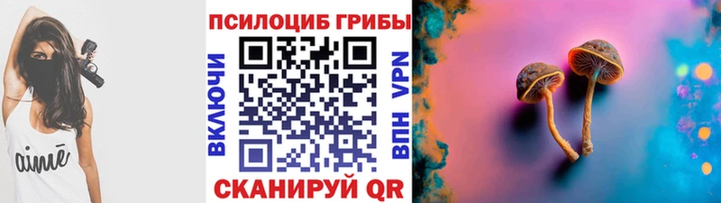 Галлюциногенные грибы Psilocybe  OMG ссылка  Межгорье 