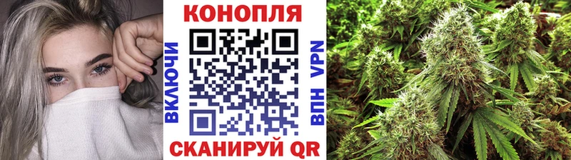 Бошки марихуана сатива Межгорье