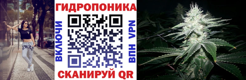 Бошки Шишки гибрид Межгорье